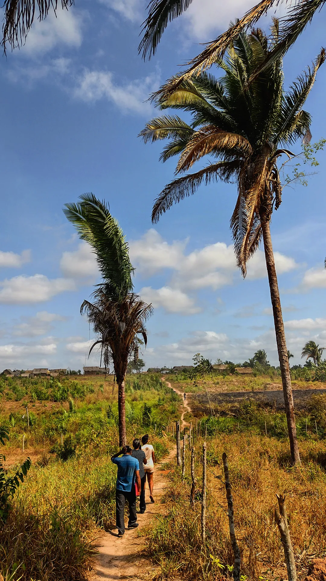 Caminhos no Quilombo Onça, comunidade localizada no interior do Maranhão. Foto: Jean Queiroz 
