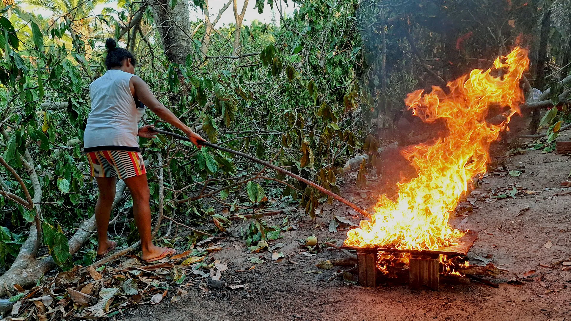 Antônia da Conceição, esposa do líder comunitário Vaim, assando castanhas de caju no Quilombo Onça, em Santa Inês, no Maranhão. Foto: Katherine Martins