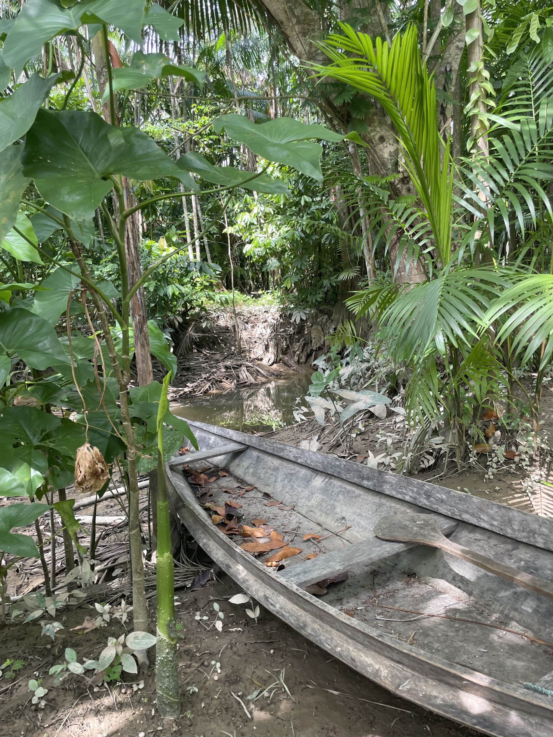 Quintal de Gerson onde ele recebe os turistas para uma imersão no modo de vida ribeirinha
