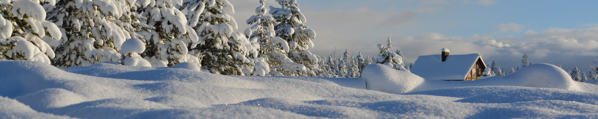 Uma paisagem de uma região fria, com o chão todo nevado, árvores com as folhas já brancas de neve também e uma casinha ao fundo com o telhado coberto de neve