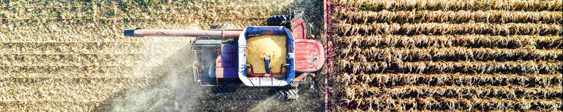 Trator agrícola retirando passando em área de plantio.