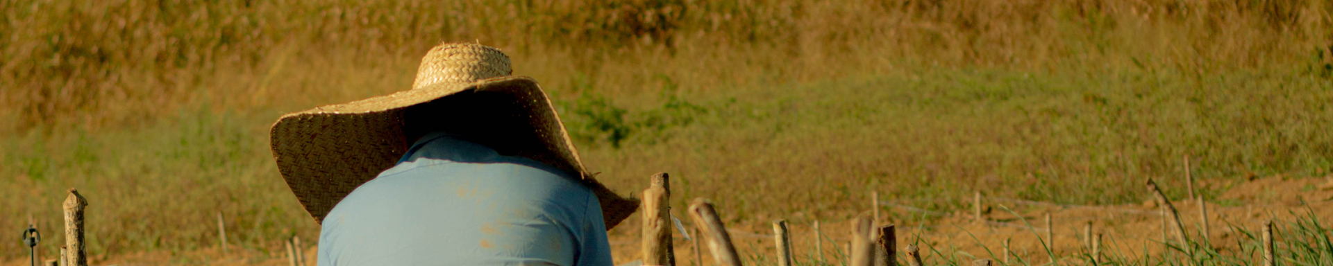 Imagem do episódio Filhos do Sol da série Curtas co.liga