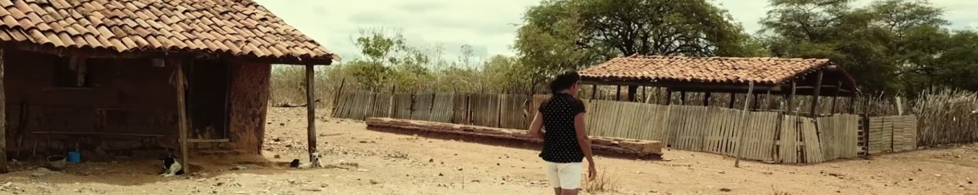Imagem do episódio Sorrisos e Verdes no Quintal da série Natureza Forte