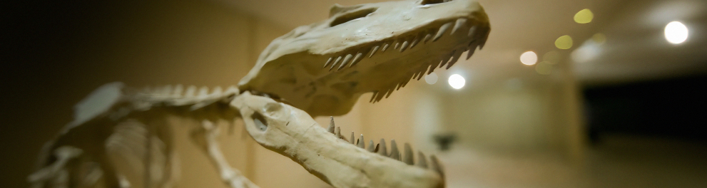 Destaque do programa "Dinos do Brasil"