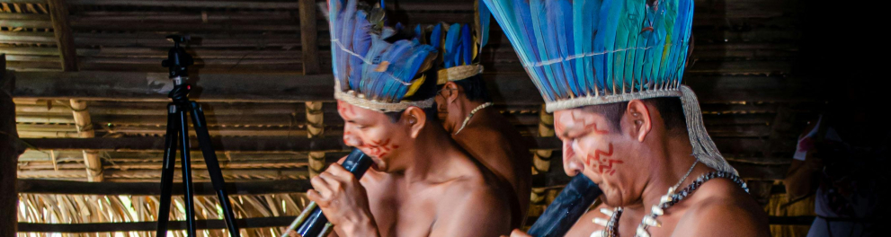 indigena