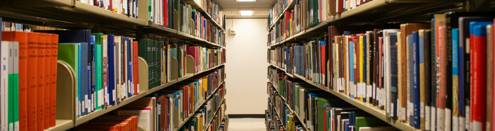 Duas estantes de livros formando um corredor. No final deste, uma porta branca.