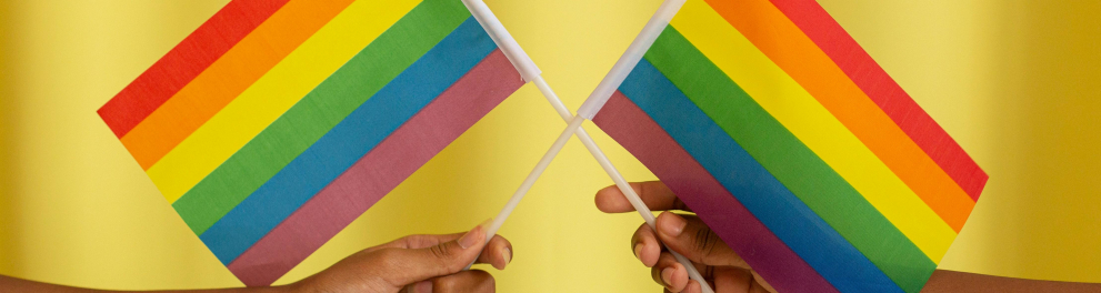 A imagem mostra duas pessoas segurando bandeiras que são símbolo do movimento LGBTQIAPN+.