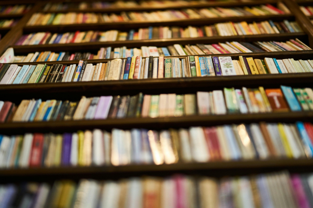 imagem de vários livros